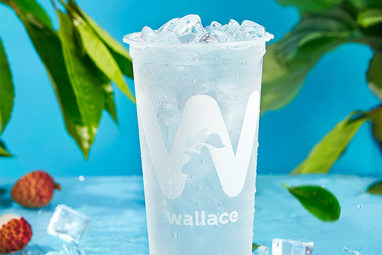 加盟华莱士炸鸡店