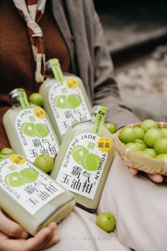 衢州奈雪加盟费大概多少费用