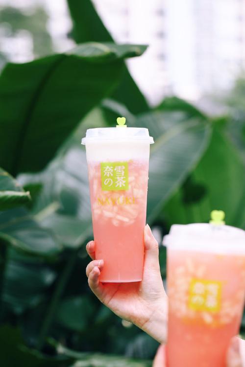 新乡奈雪加盟需要多少钱