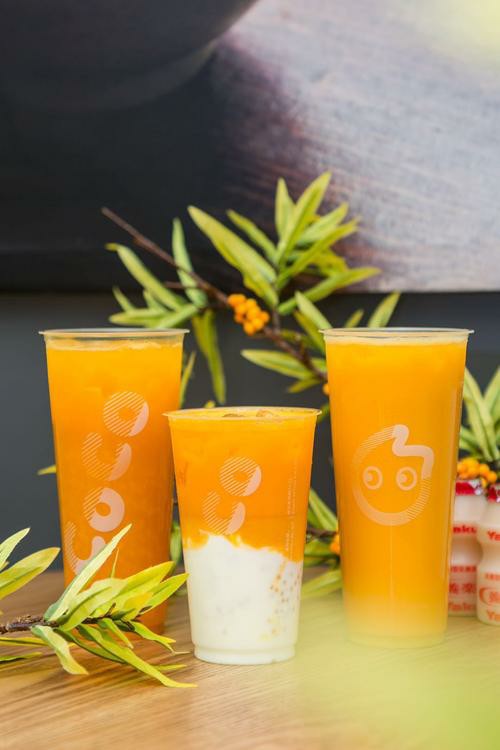 coco加盟多少钱奶茶加盟费多少[coco加盟多少钱奶茶加盟费多少的相关解读]