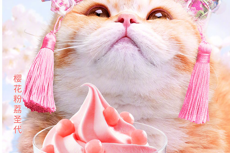 三亚市肯德基加盟，三亚海坡肯德基