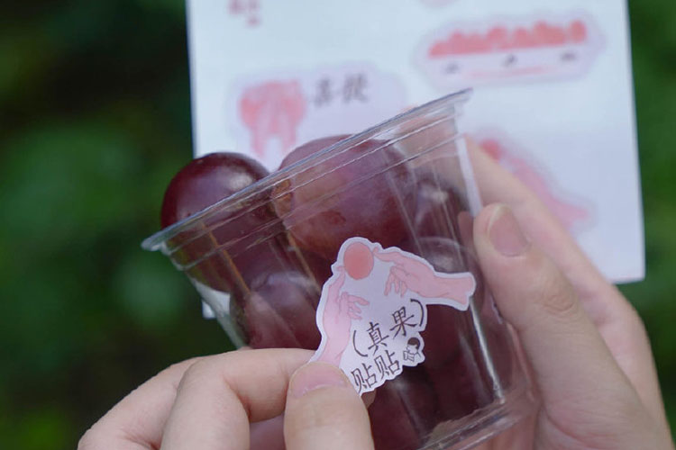 宜宾喜茶加盟费大概多少费用