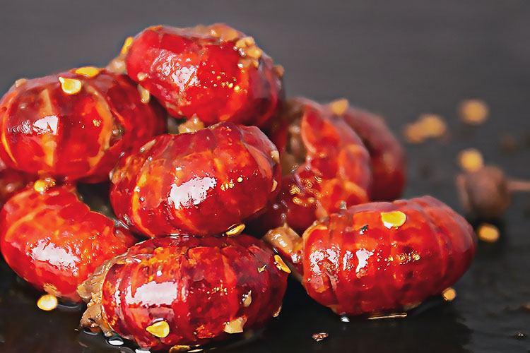 大连绝味鸭脖加盟咨询，绝味鸭脖加盟沈阳