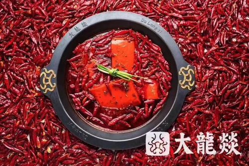 加盟大龙燚火锅好吗,大龙燚火锅加盟费50万够吗