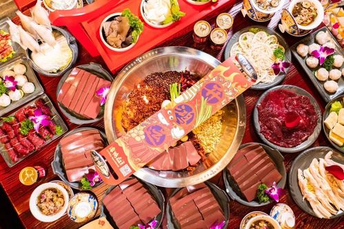 谭鸭血火锅加盟费总共多少钱