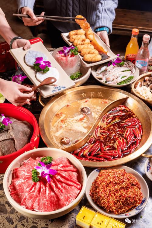 小龙坎加盟商，小龙坎加盟商