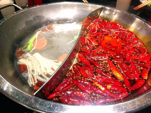 桂林大龙燚特色火锅加盟前十，大龙燚特色火锅加盟前十