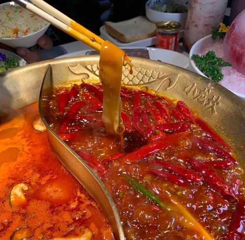 小龙坎火锅加盟合作流程，小龙坎火锅加盟费