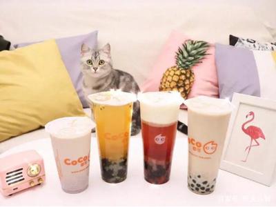 coco奶茶加盟总部，加盟奶茶店品牌推荐