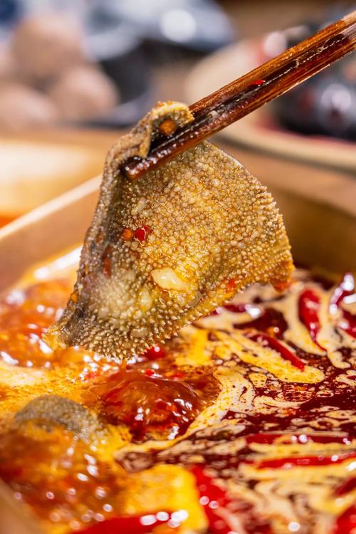 小龙坎火锅店加盟需要多少钱，小龙坎火锅加盟合作流程