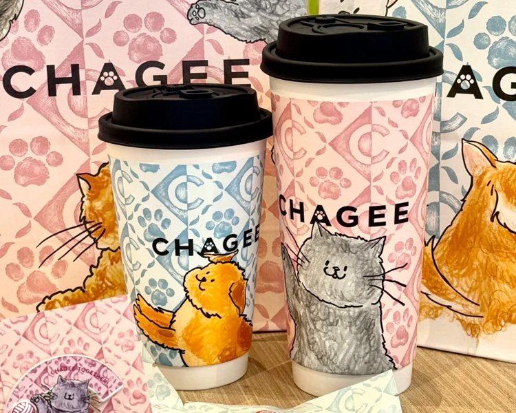 霸王茶姬加盟多少钱左右，霸王茶姬加盟要求有哪些