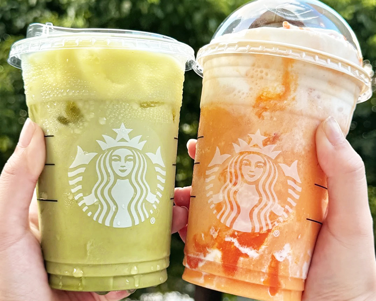 星巴克加盟费及加盟条件2024,星巴克加盟费多少钱可以加盟 星巴克加盟费及加盟条件2024,星巴克加盟费多少钱可以加盟