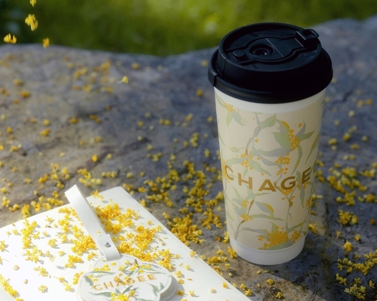 开霸王茶姬需要多少钱2025，奶茶店霸王茶姬加盟费明细表