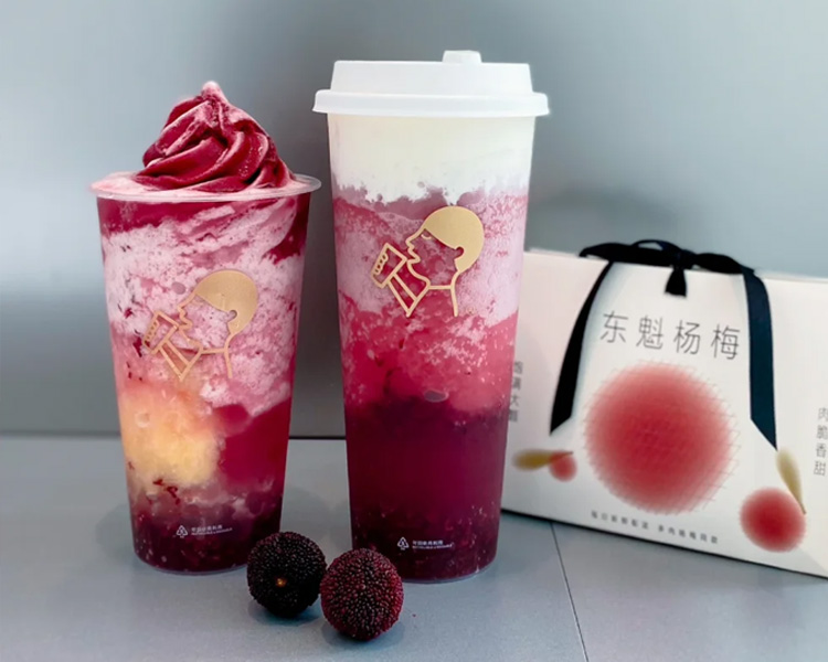 喜茶店加盟费大概多少钱，喜茶加盟条件与要求2025
