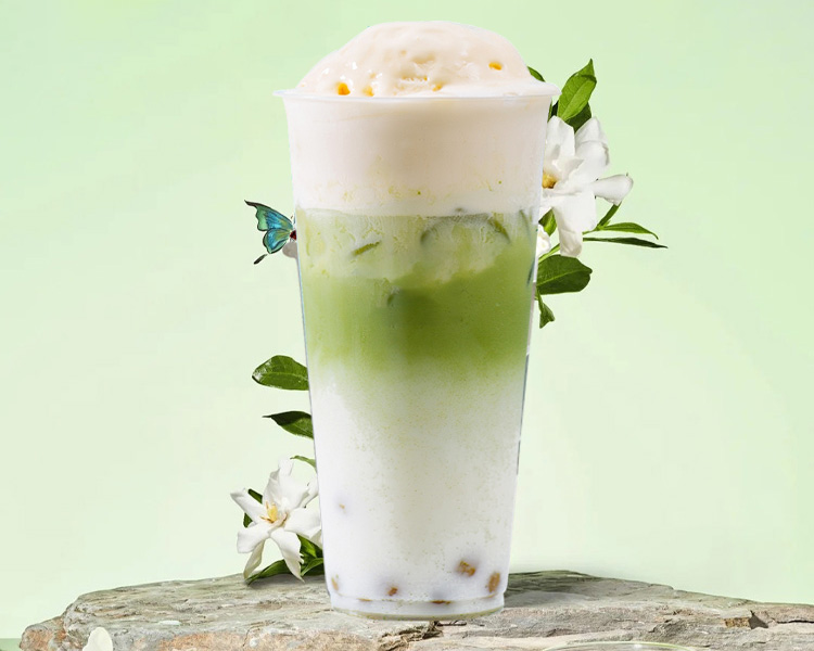 开一家茶颜悦色奶茶店要多少加盟费，茶颜悦色2025年加盟怎么申请