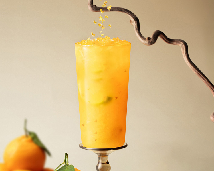 加盟茶百道奶茶店有什么条件，2026年茶百道加盟流程表