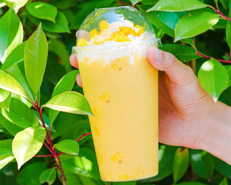 霸王茶姬怎么加盟一共需要多少钱，2026霸王茶姬要哪些条件才能加盟